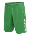 Hummel hmlCORE XK Poly Short Grün F6235