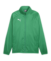 PUMA teamGOAL Allwetterjacke Grün Weiss F05