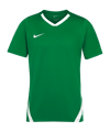 Maillot Nike équipe Spike vert F302 