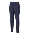 PUMA teamLIGA Sideline Pants Blau F06