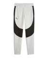 PUMA Hoops Team Dime Jogginghose Grau F02