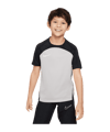Nike Strike III Shirt Kids Grijs Zwart F052  