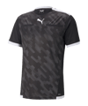 PUMA teamLIGA Schiedsrichter Trikot Schwarz F03