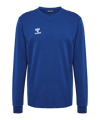 Sweatshirt de training Hummel hmlAuthentic bleu F7045
