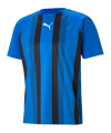 PUMA TeamLIGA Striped Shirt Blauw Zwart F02  