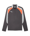 PUMA Individualliga 1/4 Zip Sweatshirt Gris C10