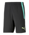 Short PUMA teamLIGA 2 noir F51 