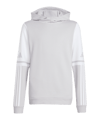 adidas Squadra 25 Hoody Kids Grau