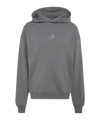 adidas Kit Small Logo Hoody Grau