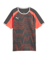 PUMA Individualliga Graphic Trikot Kids Grau F10