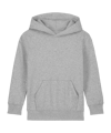 Merch Mini Cruiser 2.0 Hoody Kids H. Grey FC250
