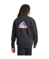 adidas Future Icons BOS Sweatshirt Schwarz - schwarz