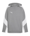 PUMA teamEVOSTRIPE Sweatshirt à capuche Gris C33