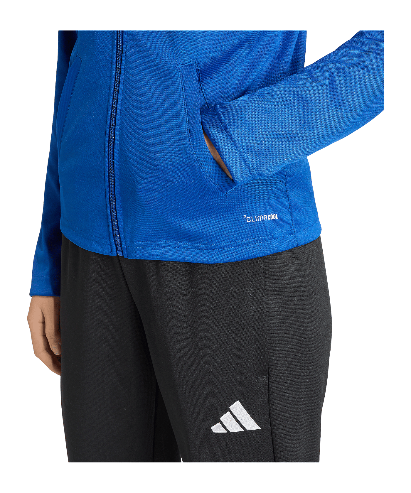adidas Entrada 26 Trainingsjacke Damen Blau - blau