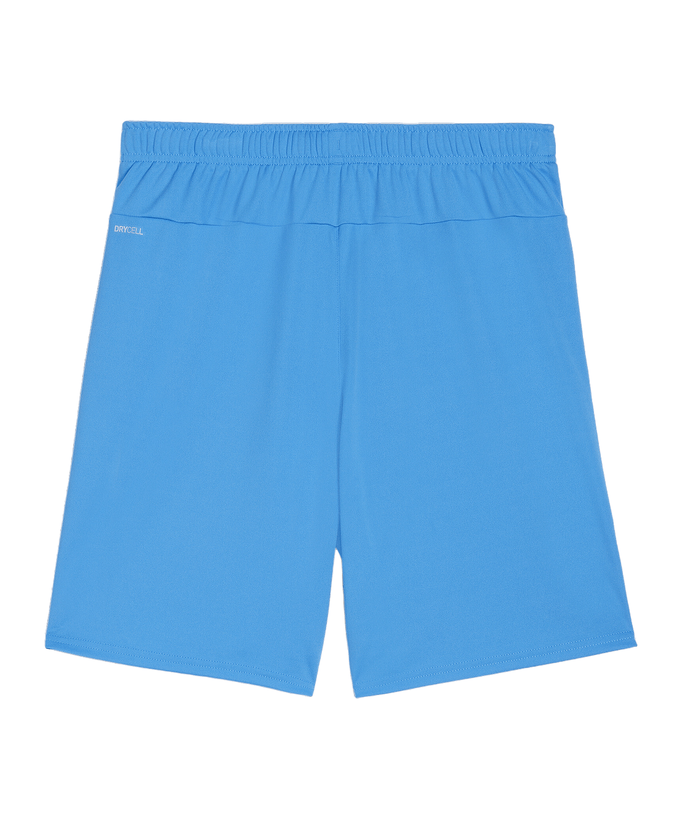 PUMA teamGOAL Short Blau Weiss F02 - blau