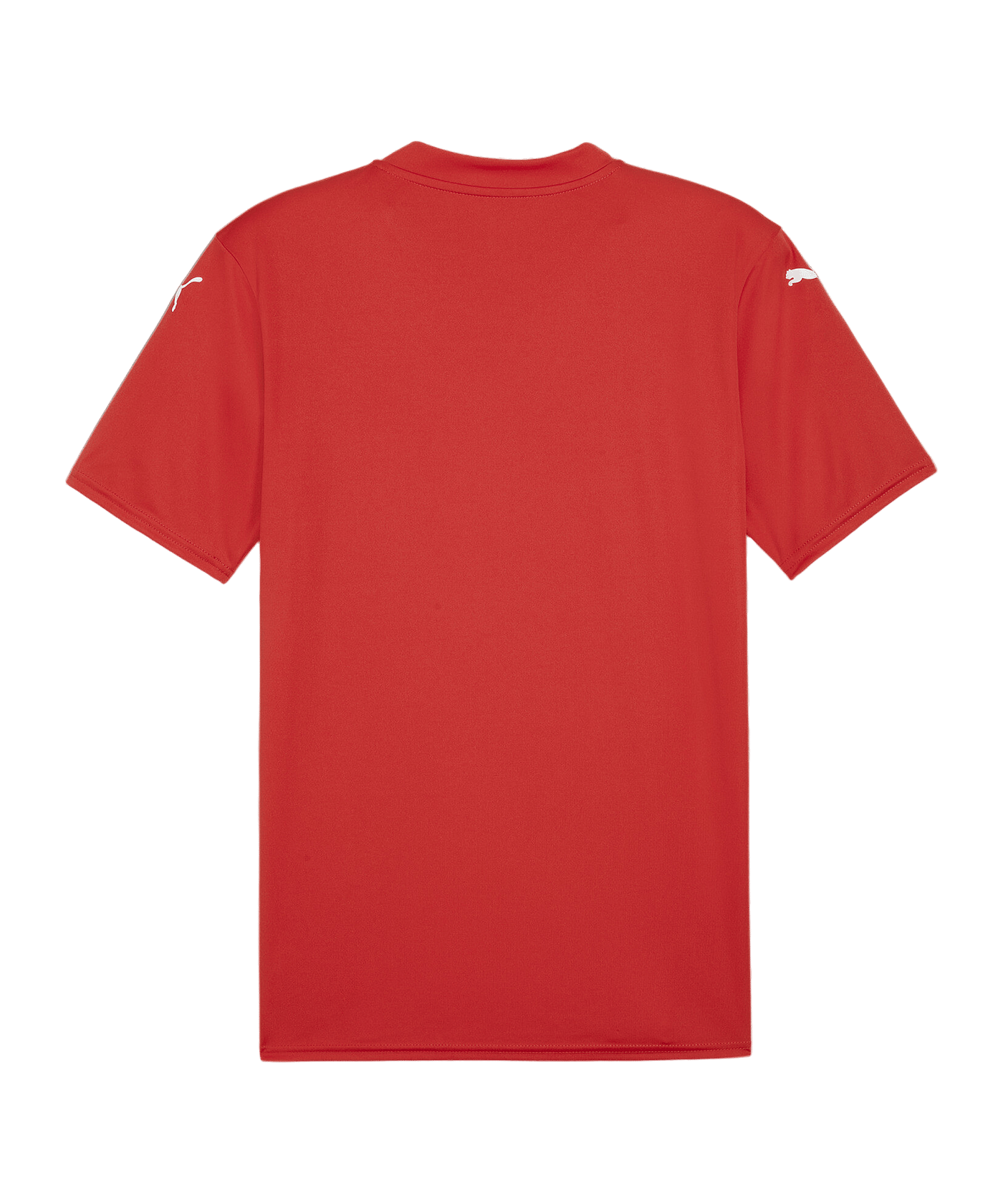 PUMA teamGLORY Trikot Rot Weiss Rot F01 - rot