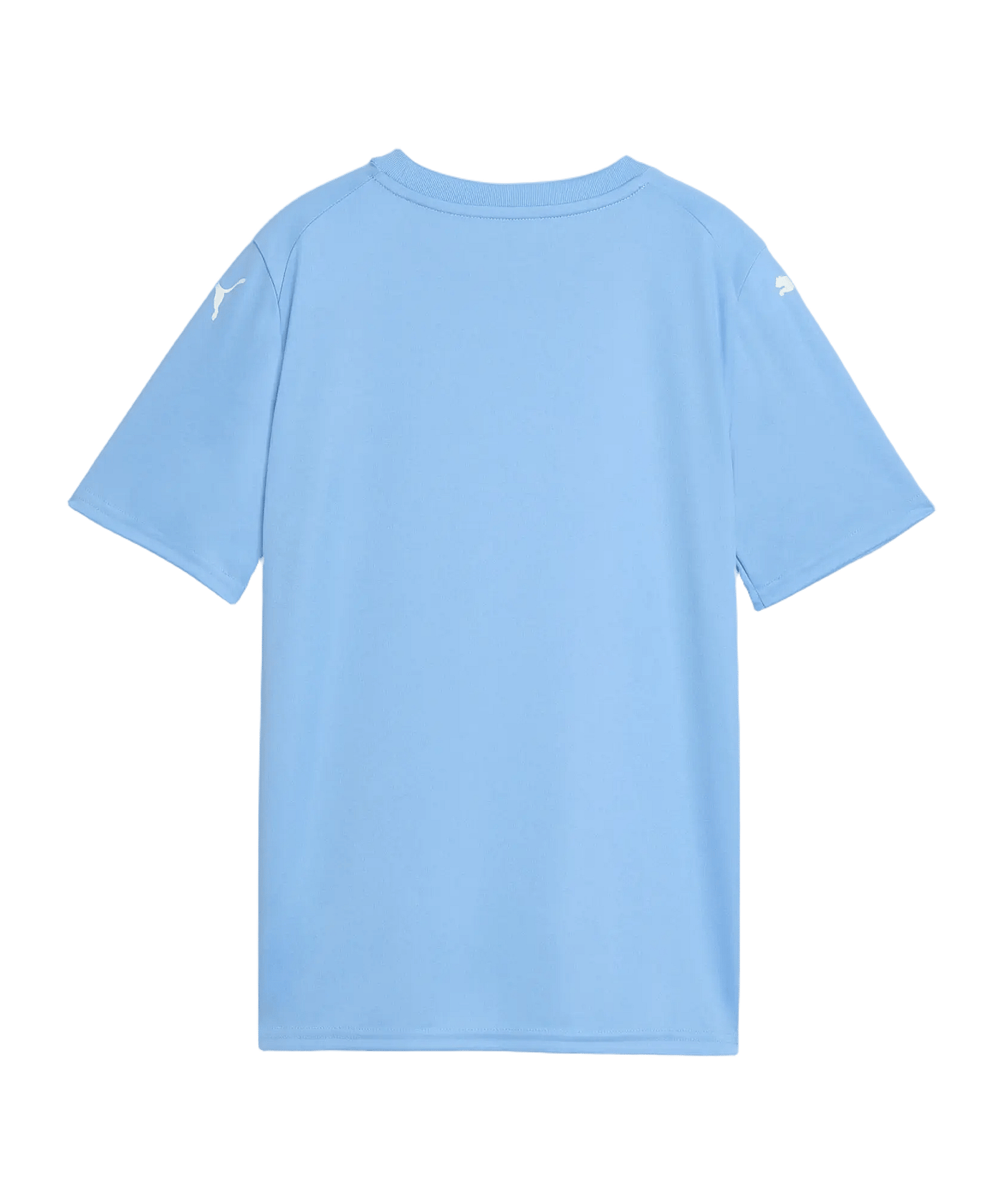 PUMA teamFINAL Graphic Trikot Kids Blau F18 - blau