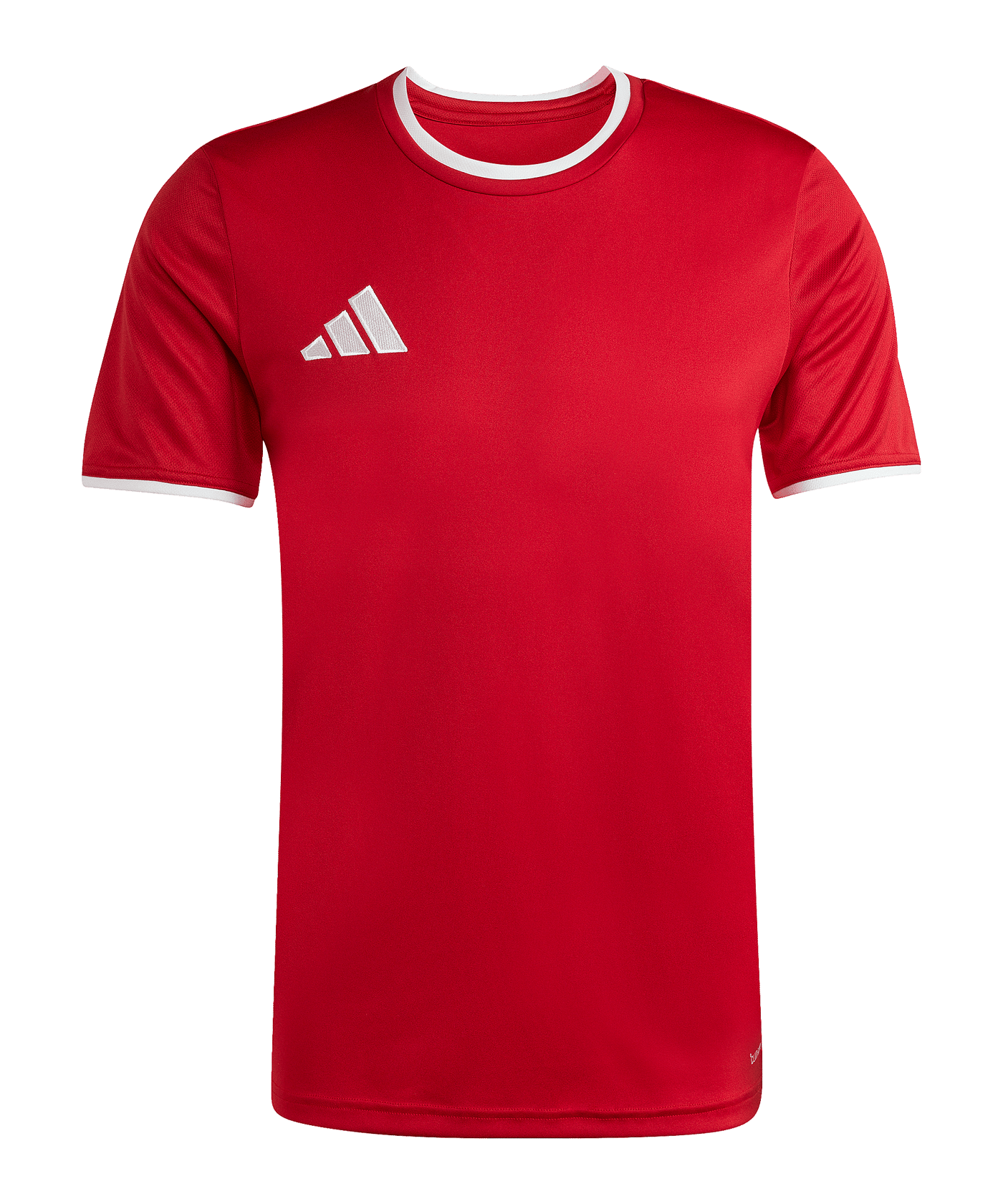 adidas Entrada 26 Trikot Rot - rot