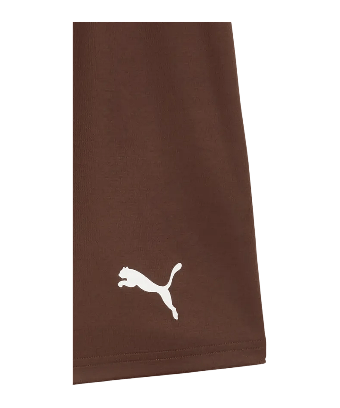 PUMA FC St. Pauli Short 2026/2027 Braun F01 - braun