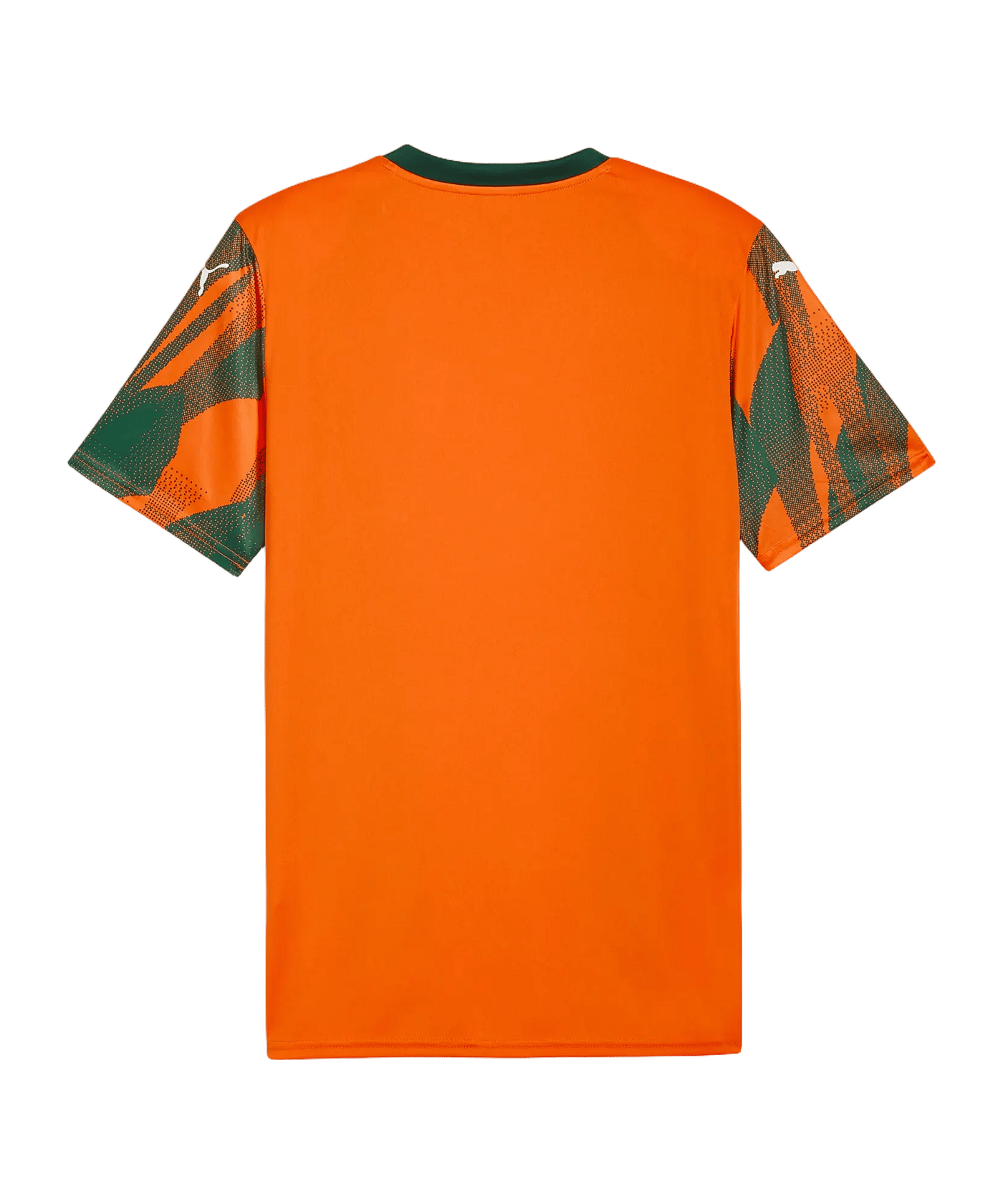 PUMA teamFINAL Graphic Trikot Orange F37 - orange