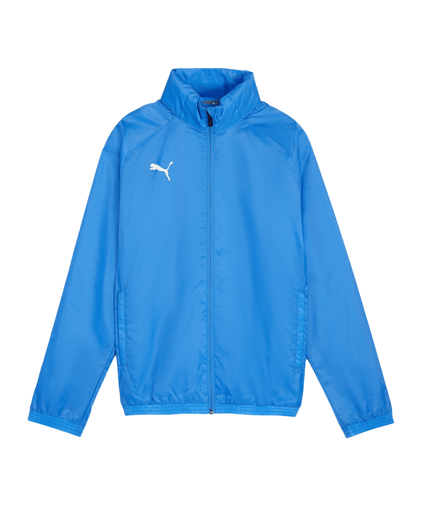 PUMA teamGOAL Allwetterjacke Kids Blau Weiss F02 - blau