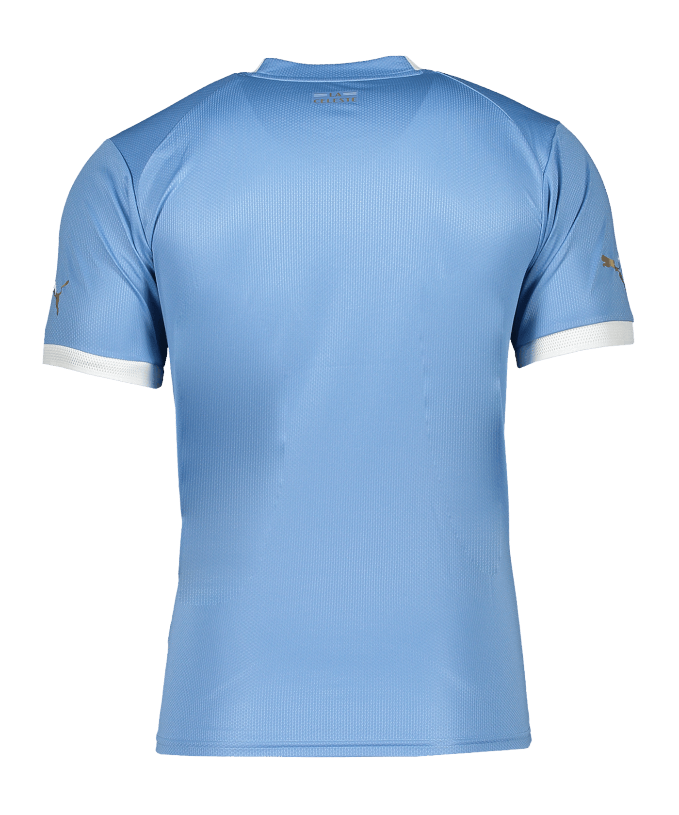 PUMA Uruguay Trikot Home WM 2022 Blau F01 - blau