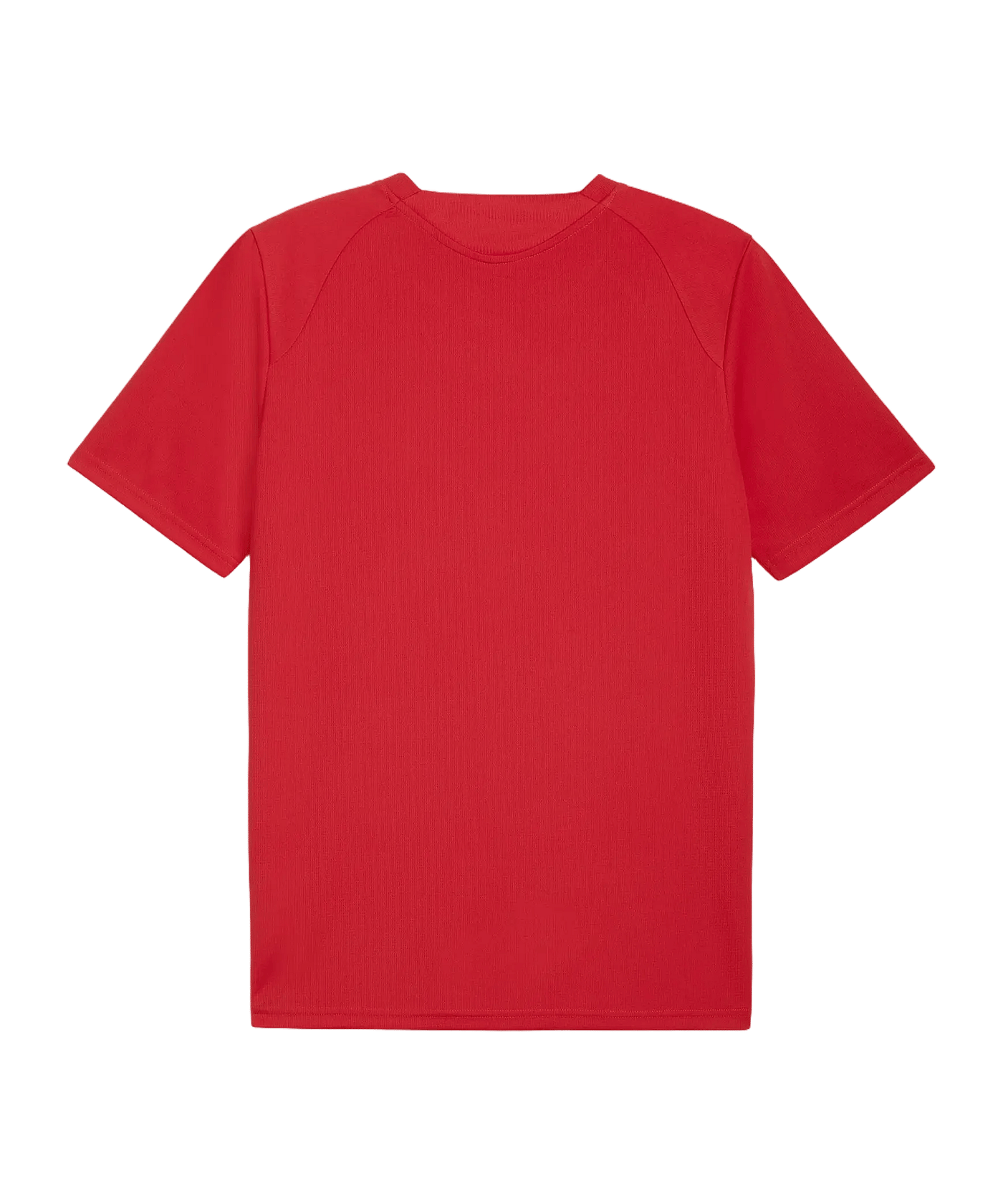 PUMA TeamFINAL 26 Trikot Rot F01 - rot