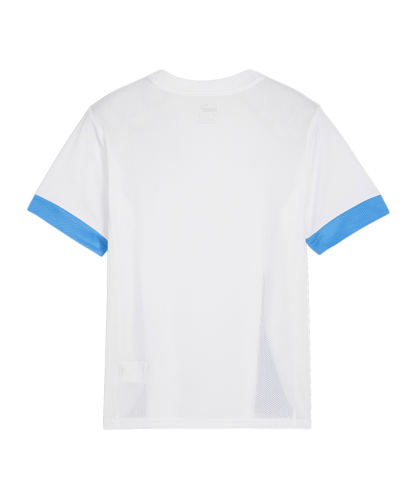 PUMA teamGOAL Matchday Trikot Kids Weiss Blau F12 - weiss