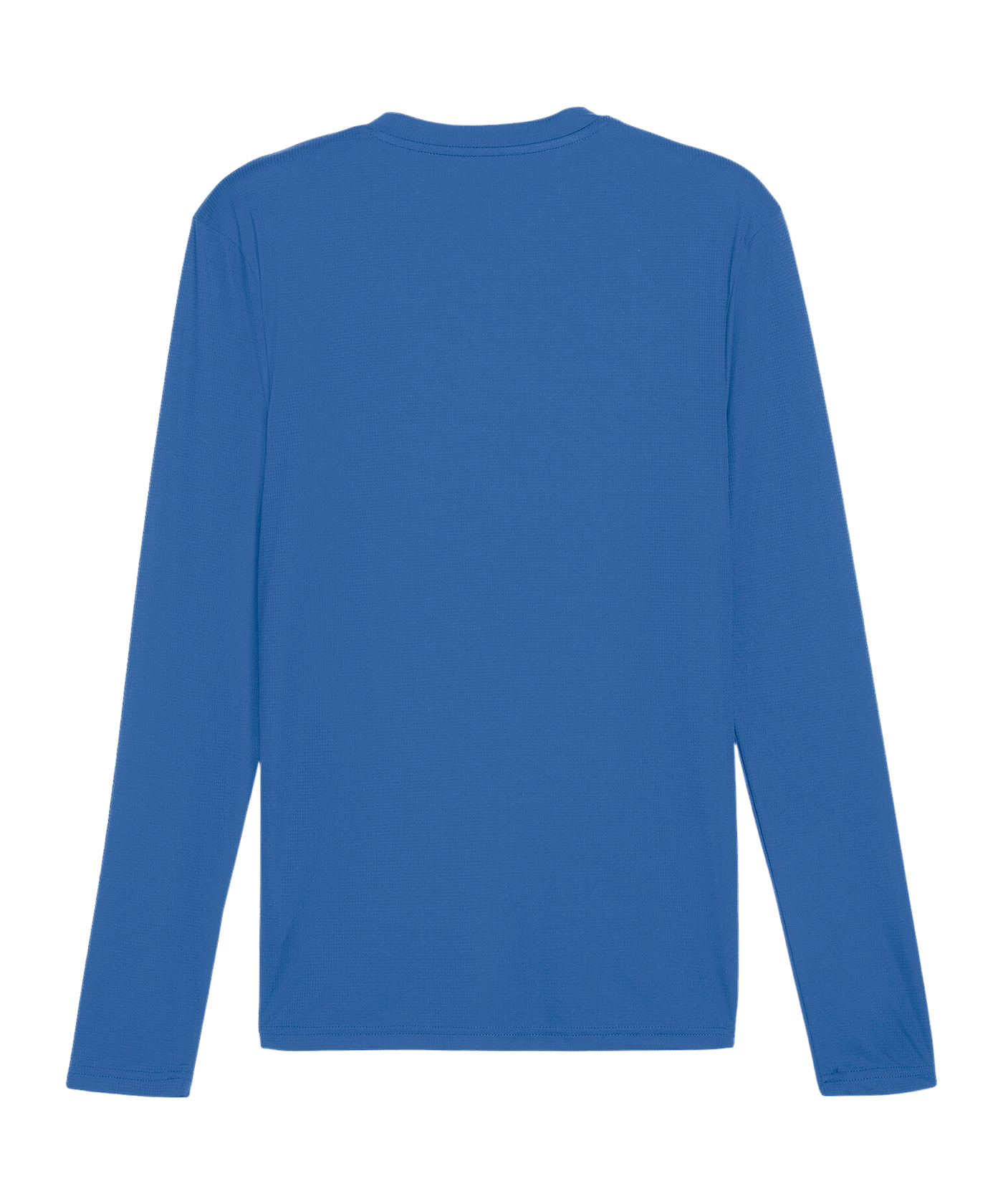 PUMA TeamGOAL Baselayer Longsleeve Blau F02 - blau