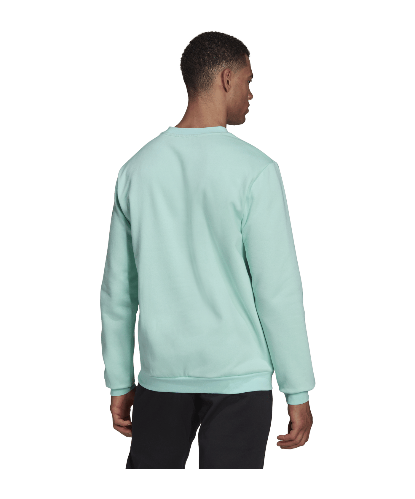 adidas Entrada 22 Sweatshirt Türkis - tuerkis