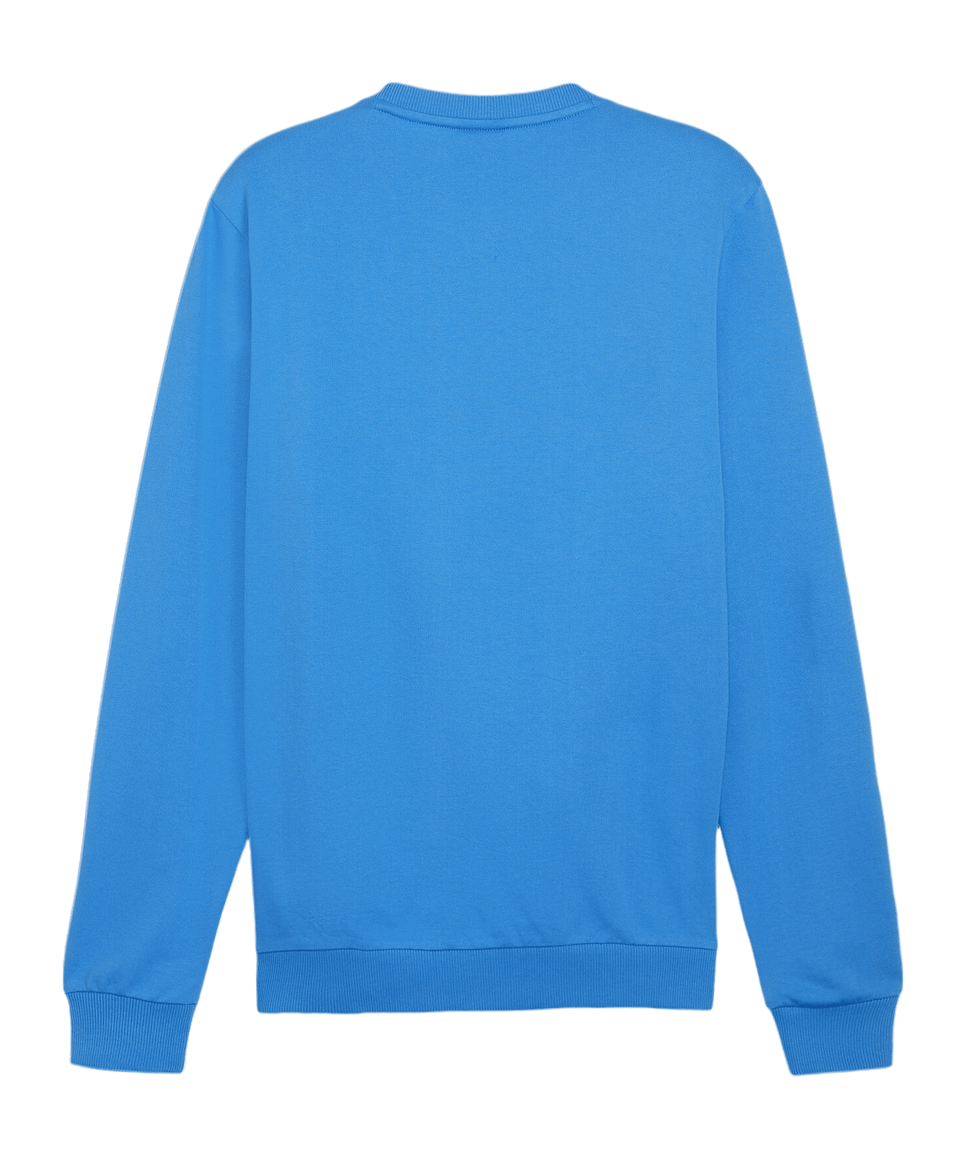 PUMA teamGOAL Casuals Sweatshirt Blau F02 - blau