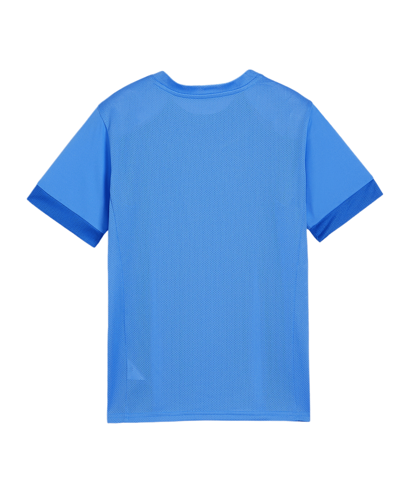PUMA teamGOAL Matchday Trikot Kids Blau Weiss F02 - blau
