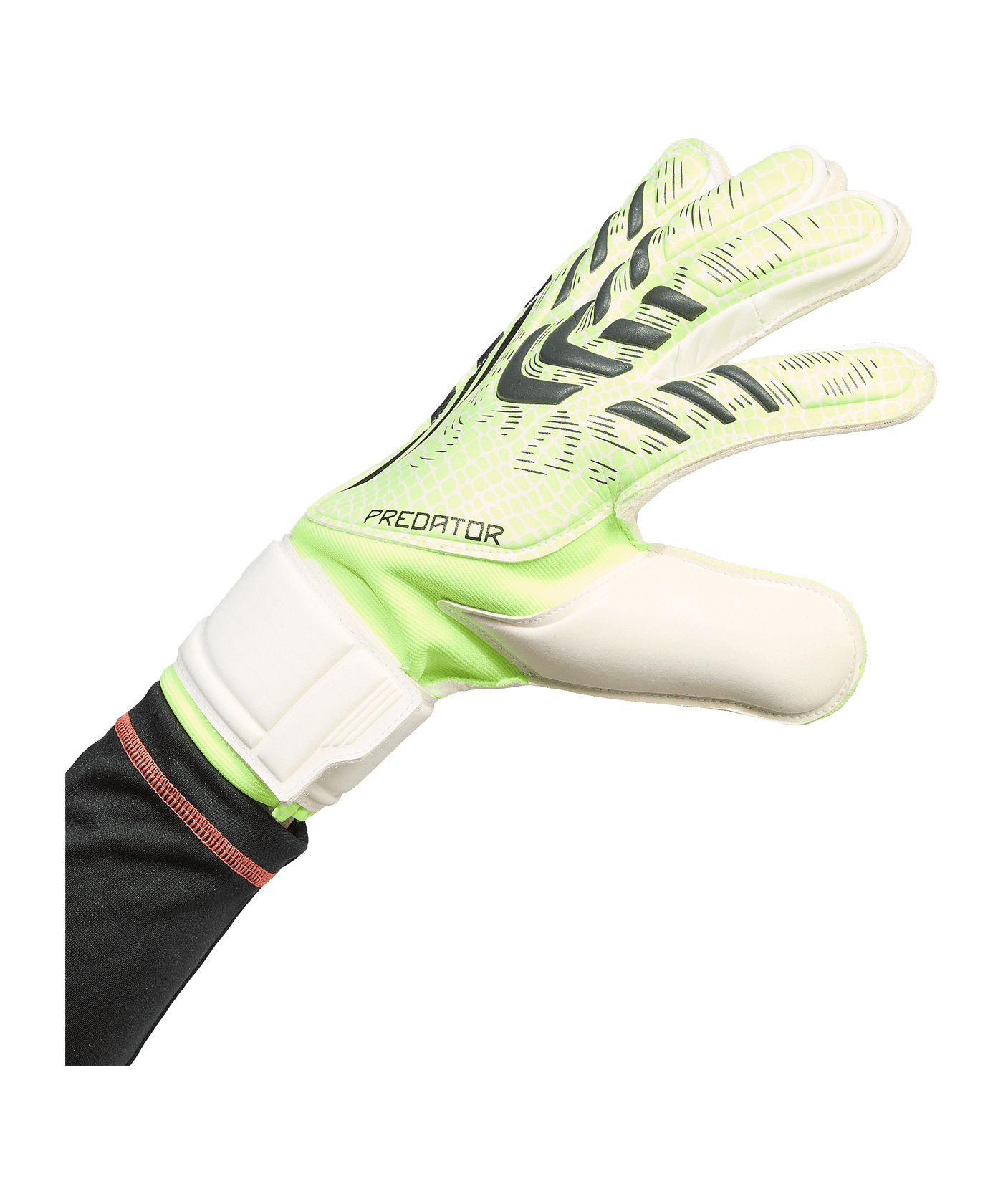 adidas Predator Match Torwarthandschuhe Grün - gruen