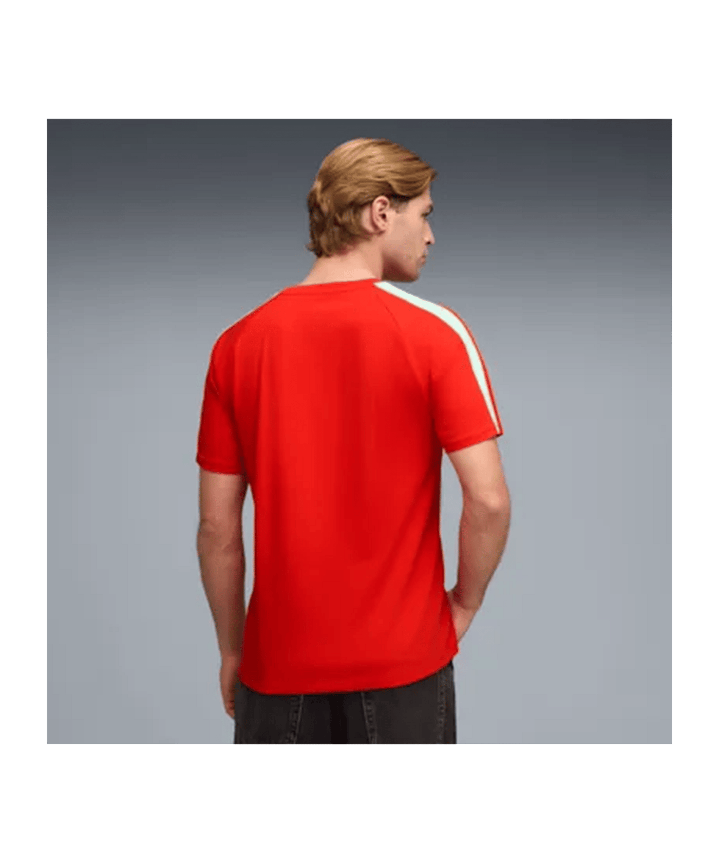 PUMA SFV Schweiz King T-Shirt Rot F05 - rot
