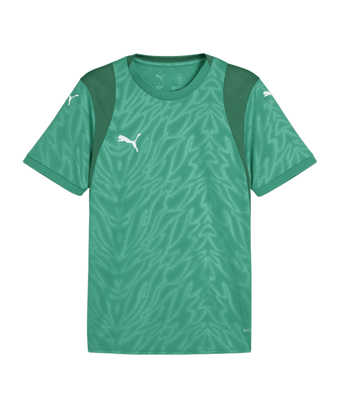 PUMA TeamCUP Trikot Grün F05 - gruen