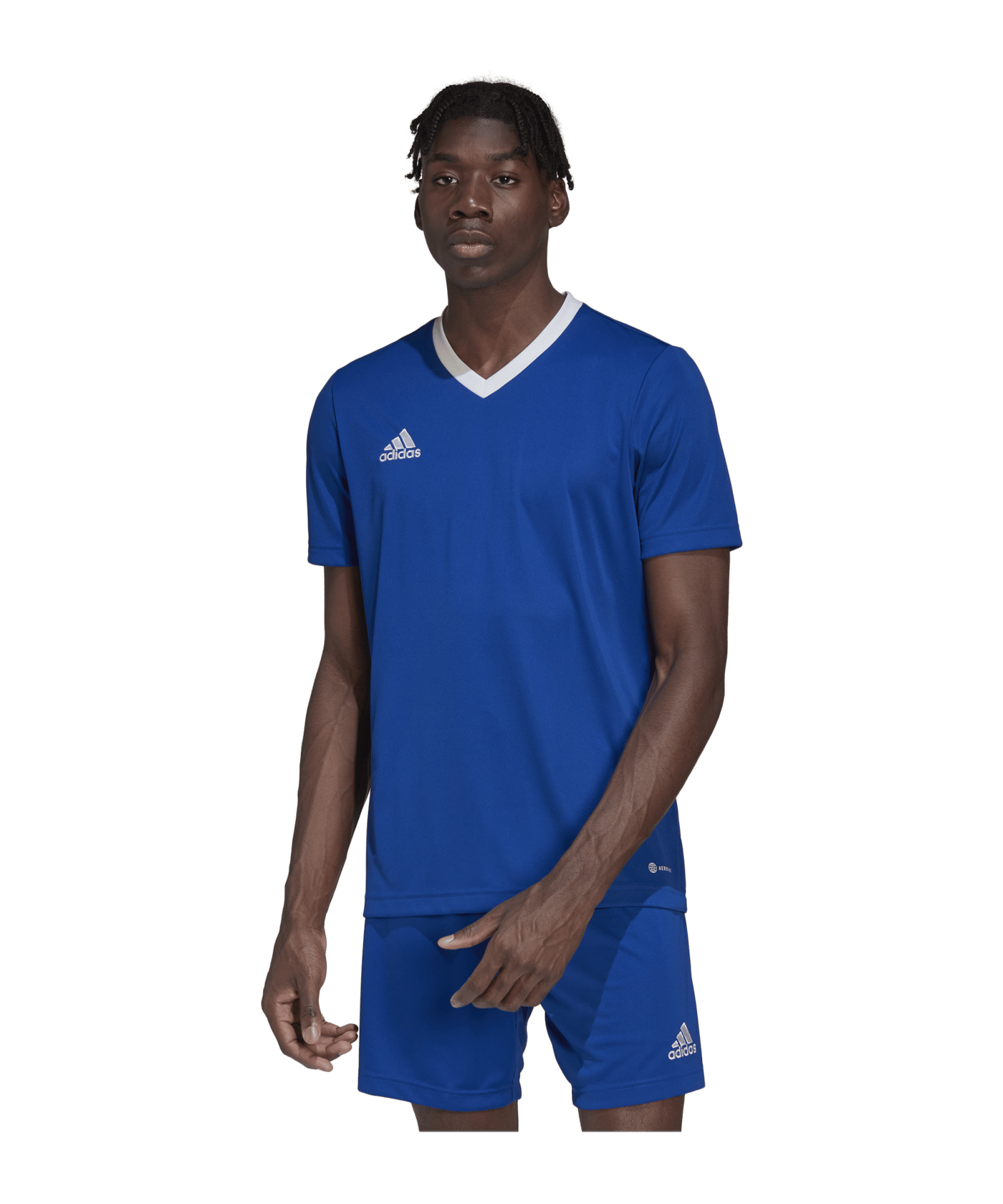 adidas Entrada 22 Trikot Blau Weiss - blau