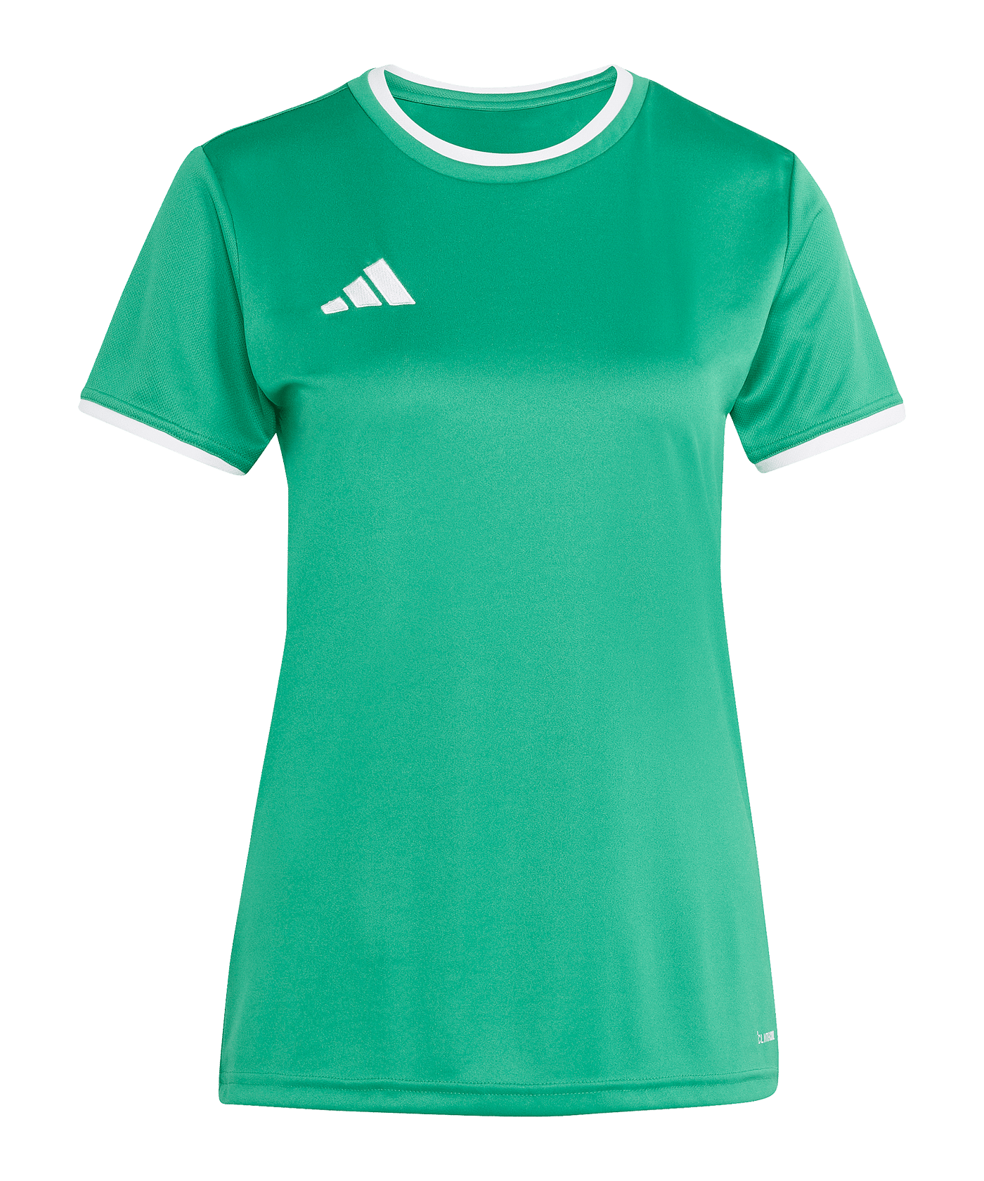 adidas Entrada 26 Trikot Damen Grün - gruen