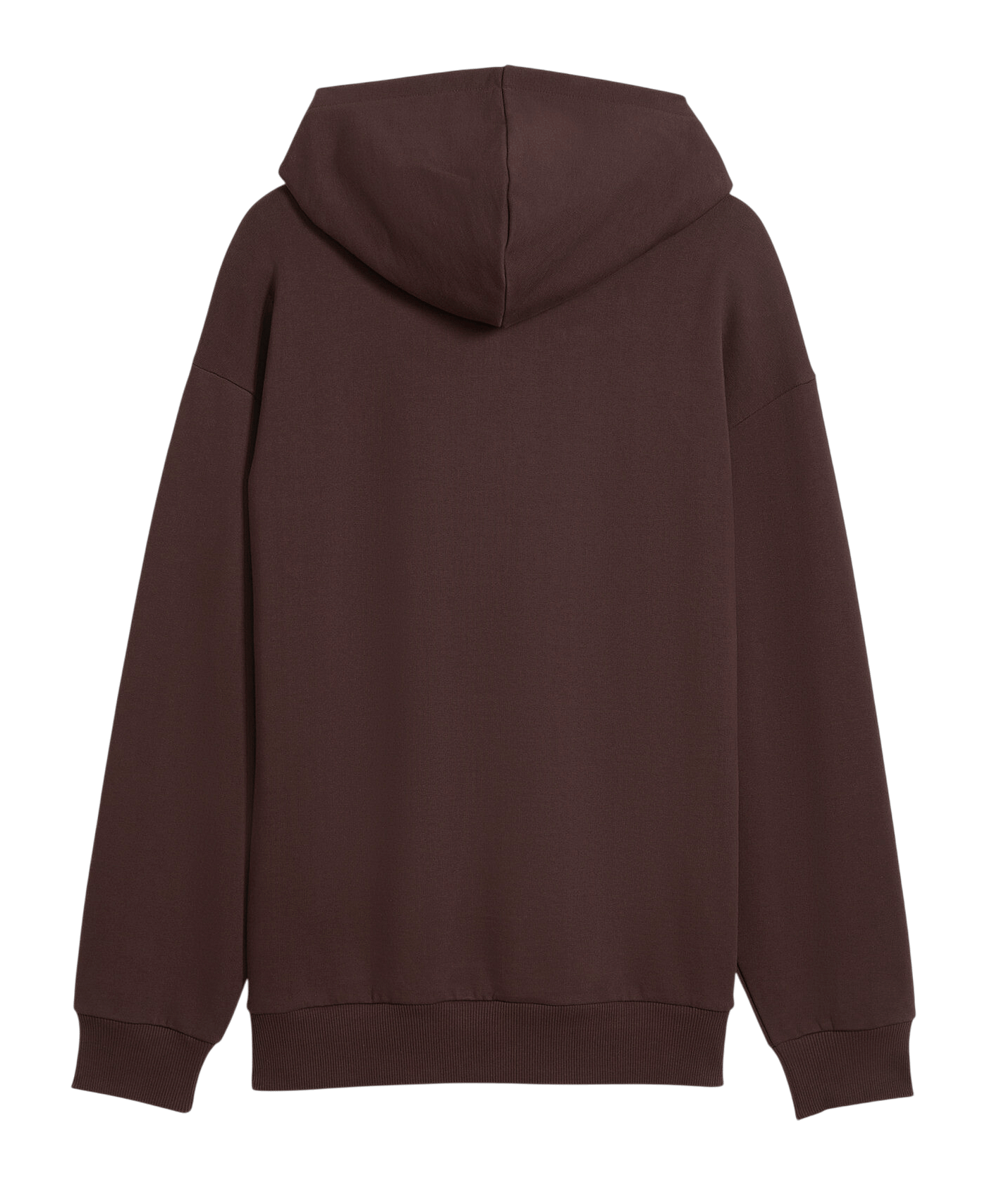 PUMA FC St. Pauli Graphic Hoody Braun F01 - braun