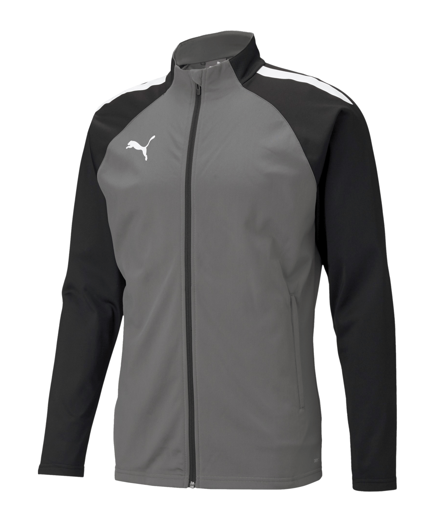 PUMA teamLIGA Trainingsjacke Grau Schwarz F13 - grau
