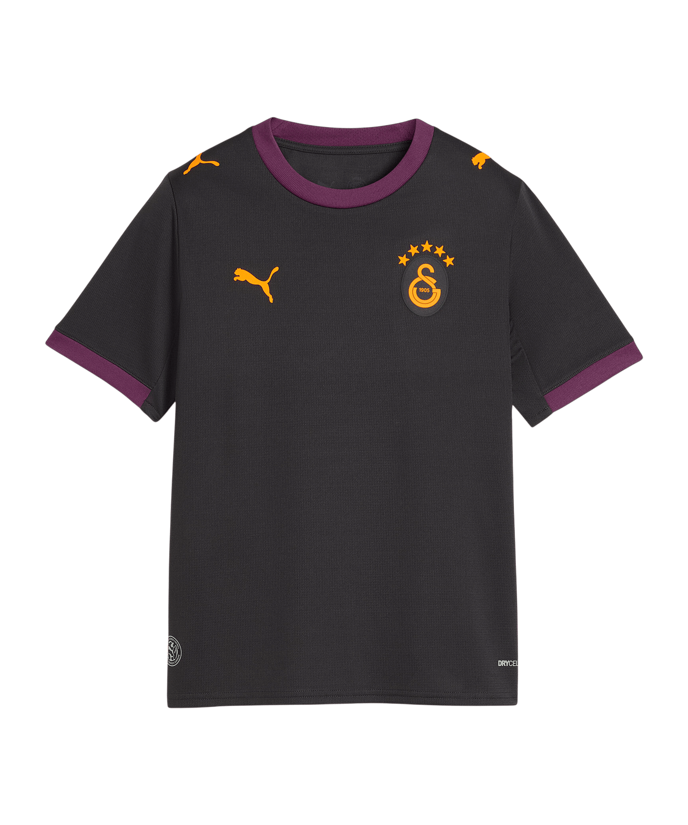 PUMA Galatasaray Istanbul Replica Trikot Away 2026/2027 Kids Grau F05 - grau