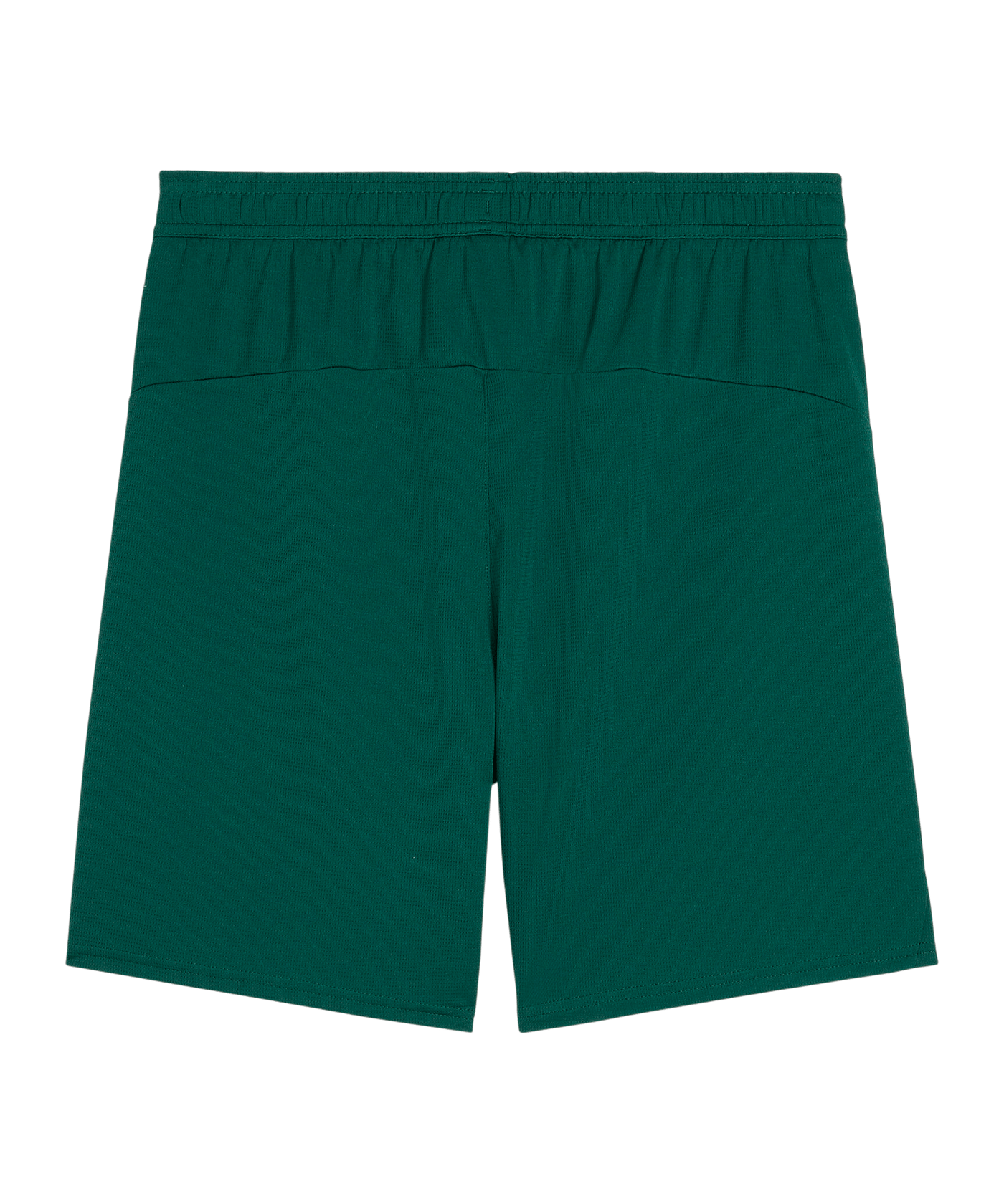 PUMA Portugal Short Grün F10 - gruen