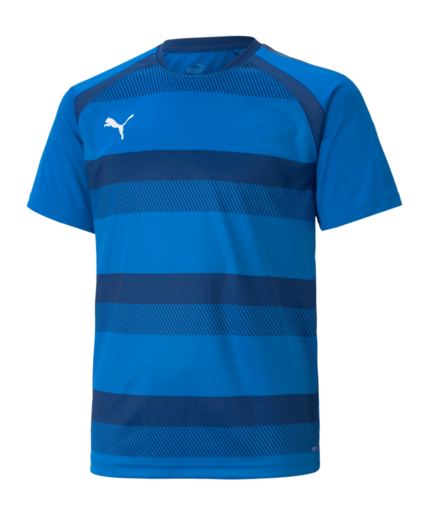 PUMA teamVISION Trikot Kids Blau F02 - blau