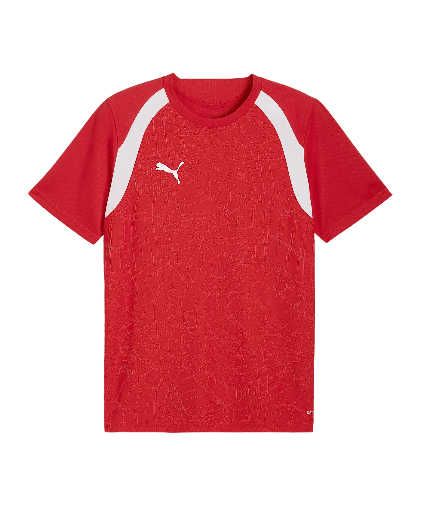 PUMA TeamFINAL 26 Trikot Rot F01 - rot
