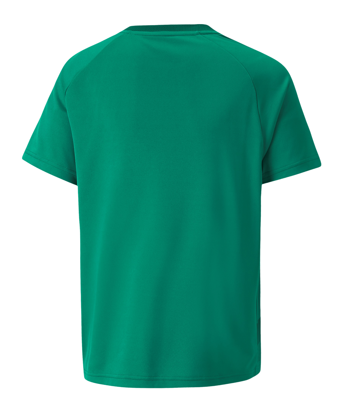 PUMA teamVISION Trikot Kids Grün F05 - gruen