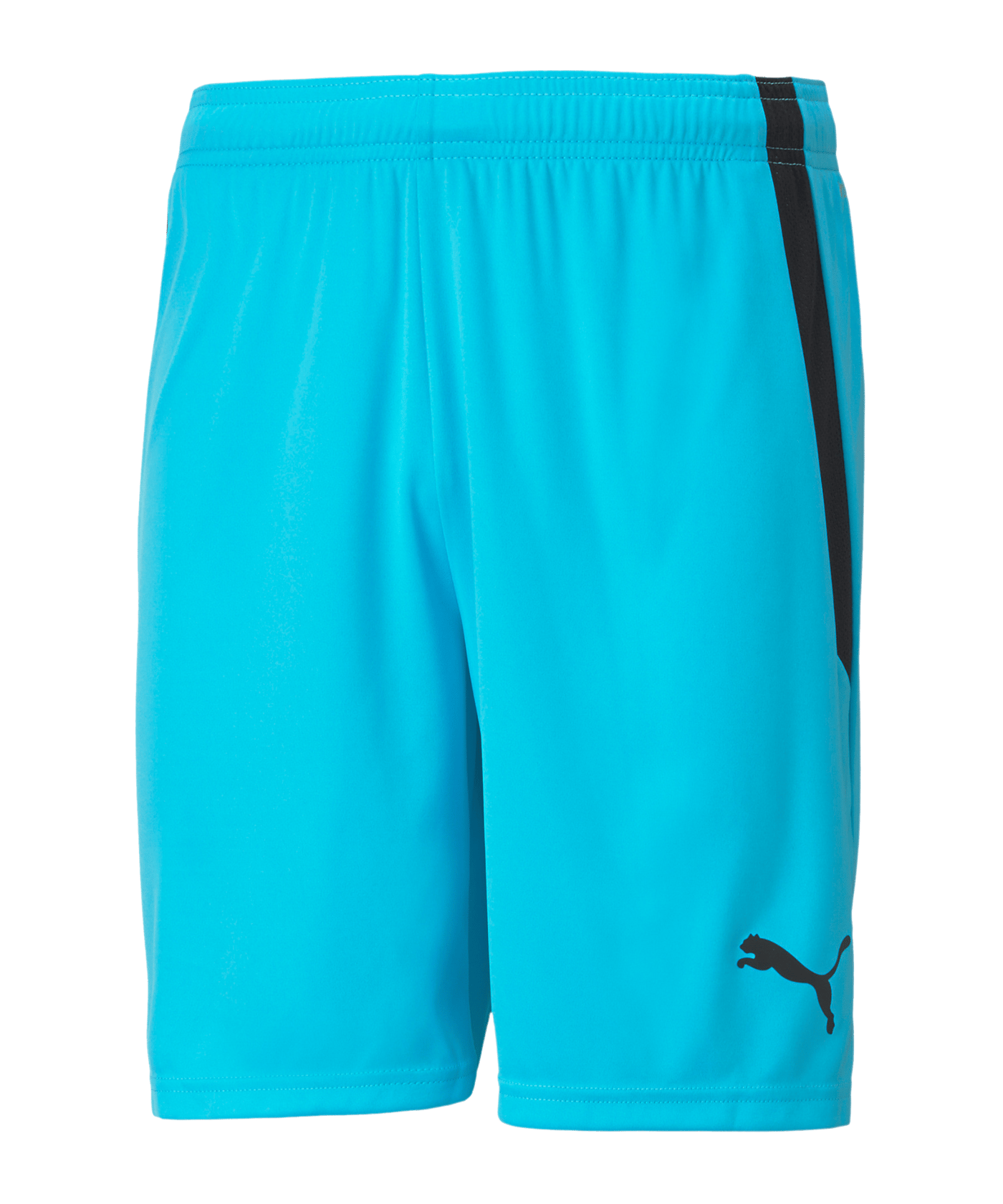 PUMA teamLIGA Short Kids Blau Schwarz F40 - blau