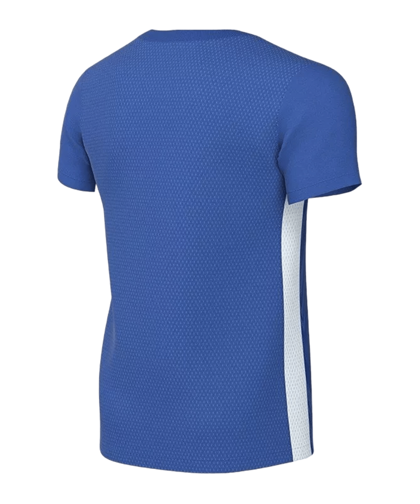 Nike Challenge V Trikot Kids Blau Weiss F463 - blau