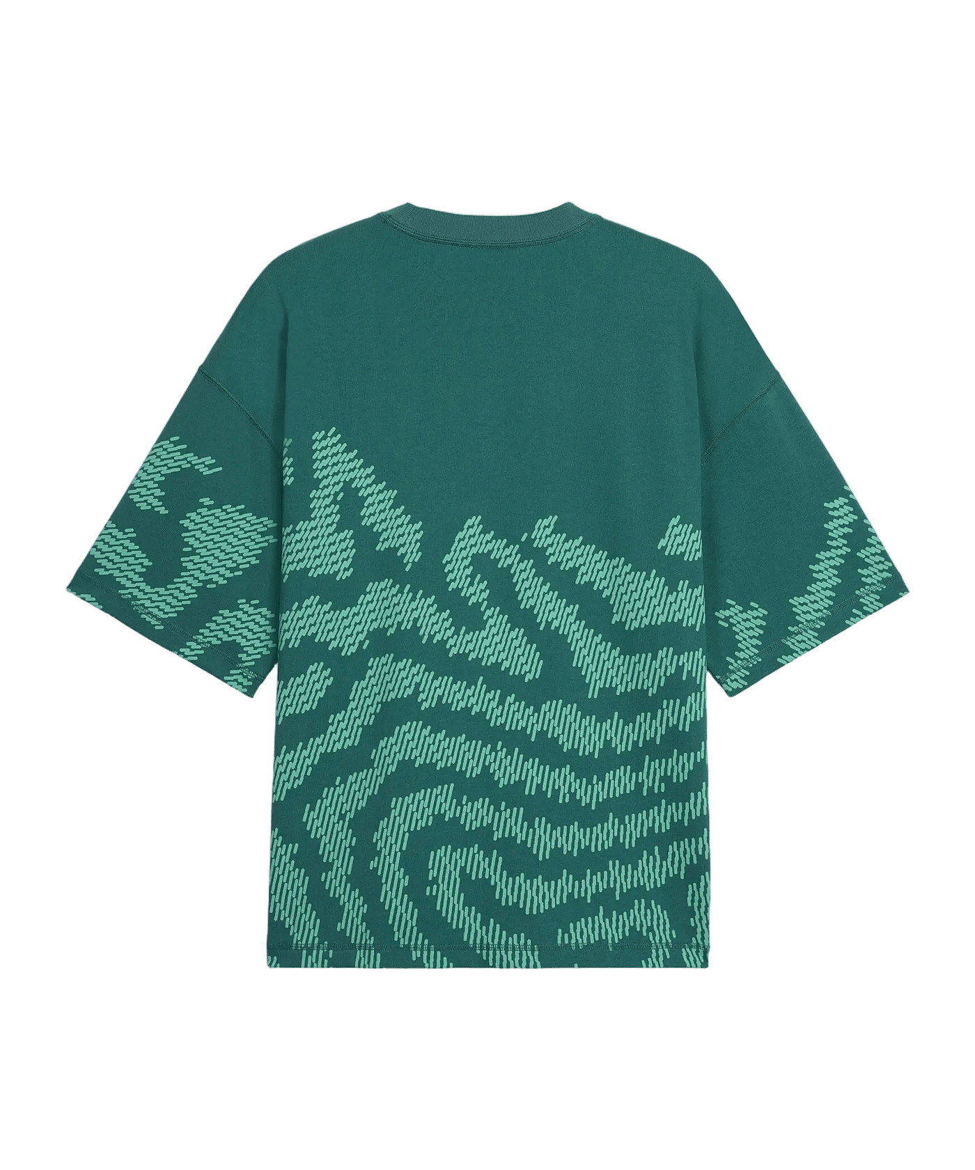 PUMA FPF Portugal Salehe T-Shirt Grün F41 - gruen
