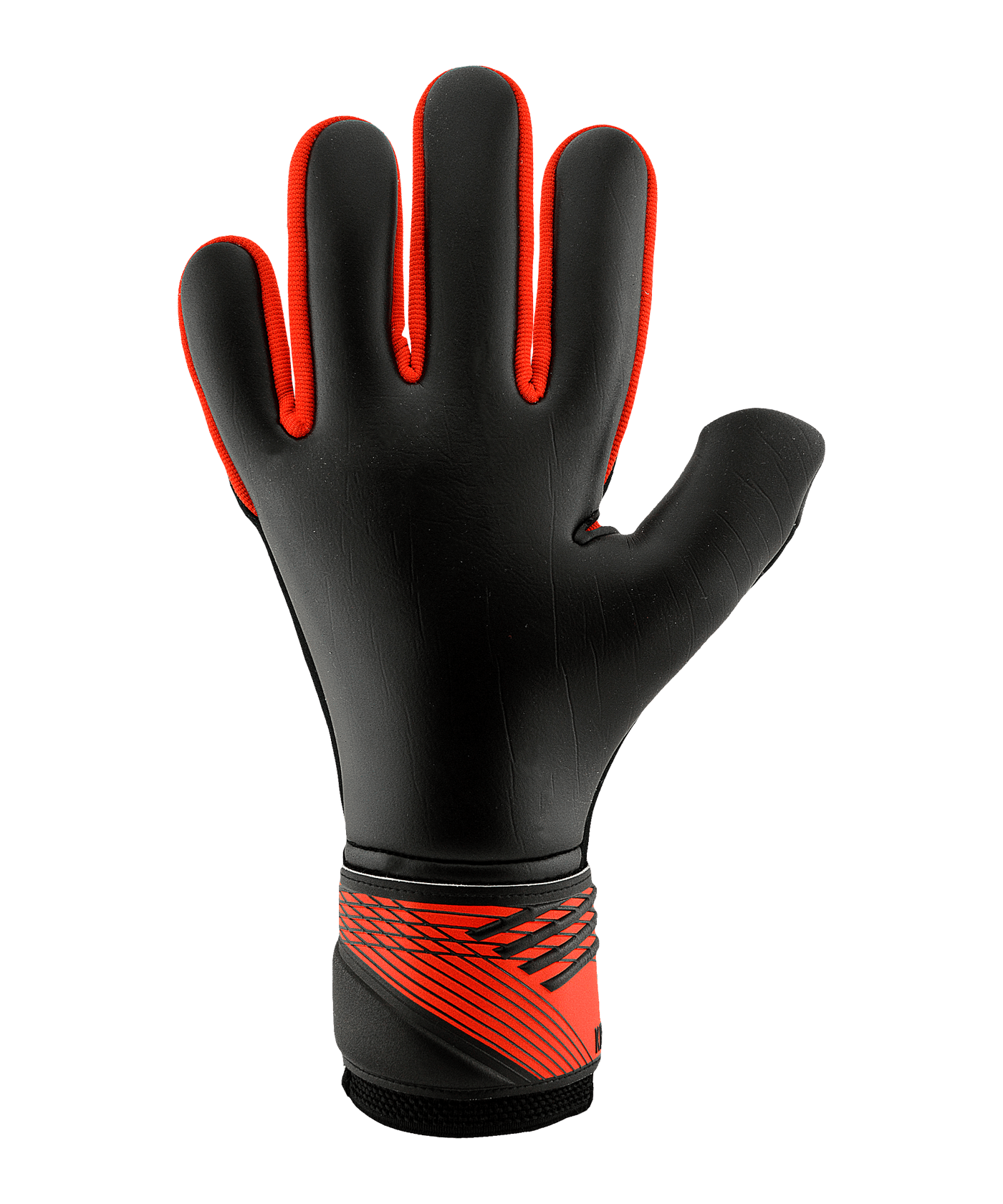KEEPERsport Champ Prime NC Dominance Torwarthandschuhe Schwarz - schwarz