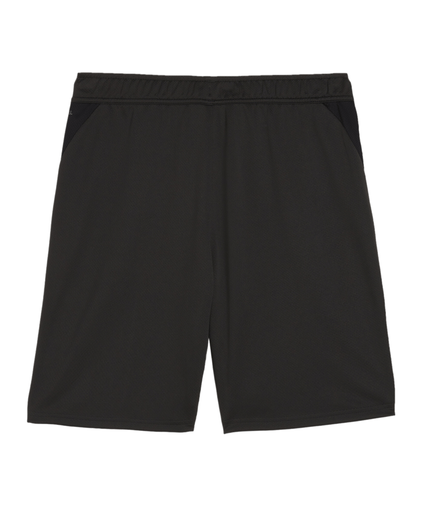 PUMA teamGOAL Training Shorts Schwarz F03 - schwarz