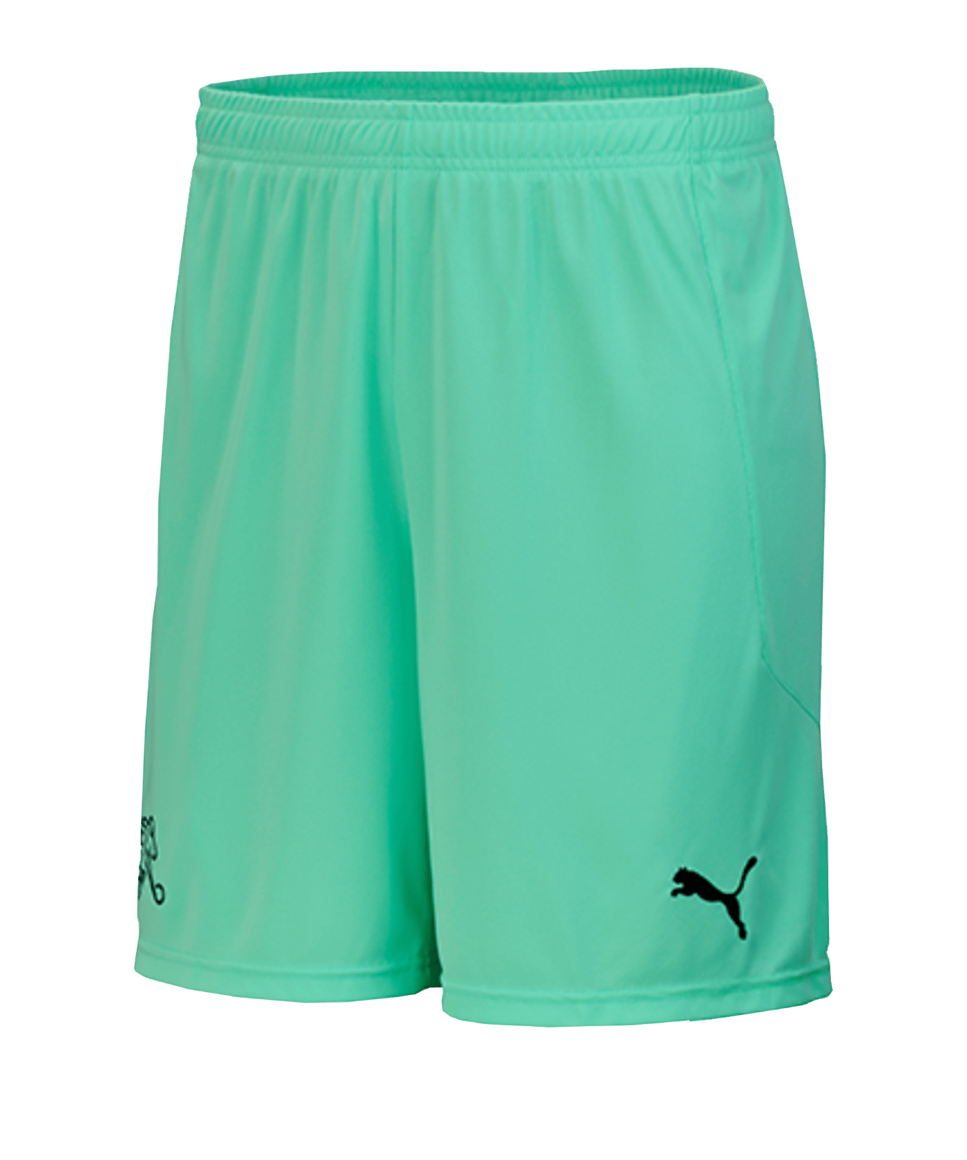 PUMA Schweiz Torwartshort EM 2020 Grün F04 - gruen
